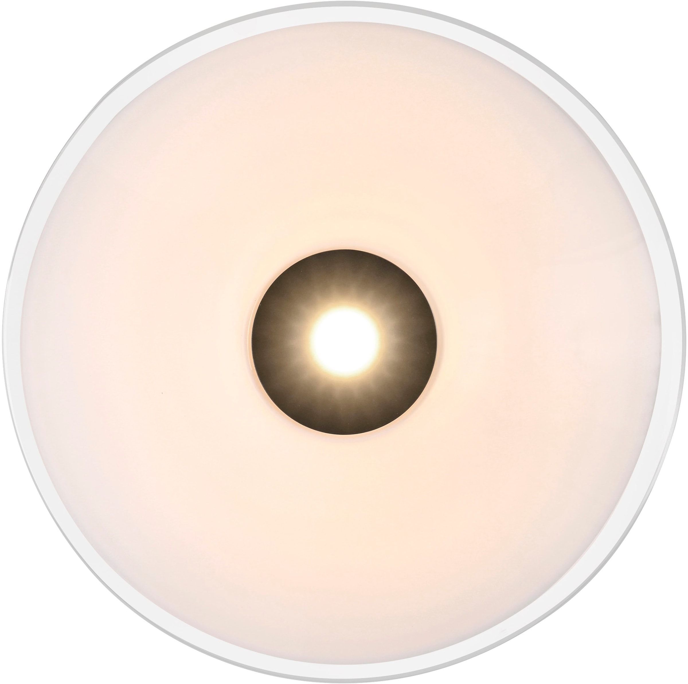 Paul Neuhaus LED Deckenleuchte »ELIPSA« LED-Board 1 Stk. Warmweiß Dimmfähig über separaten Tronicdimmer, Opalglas