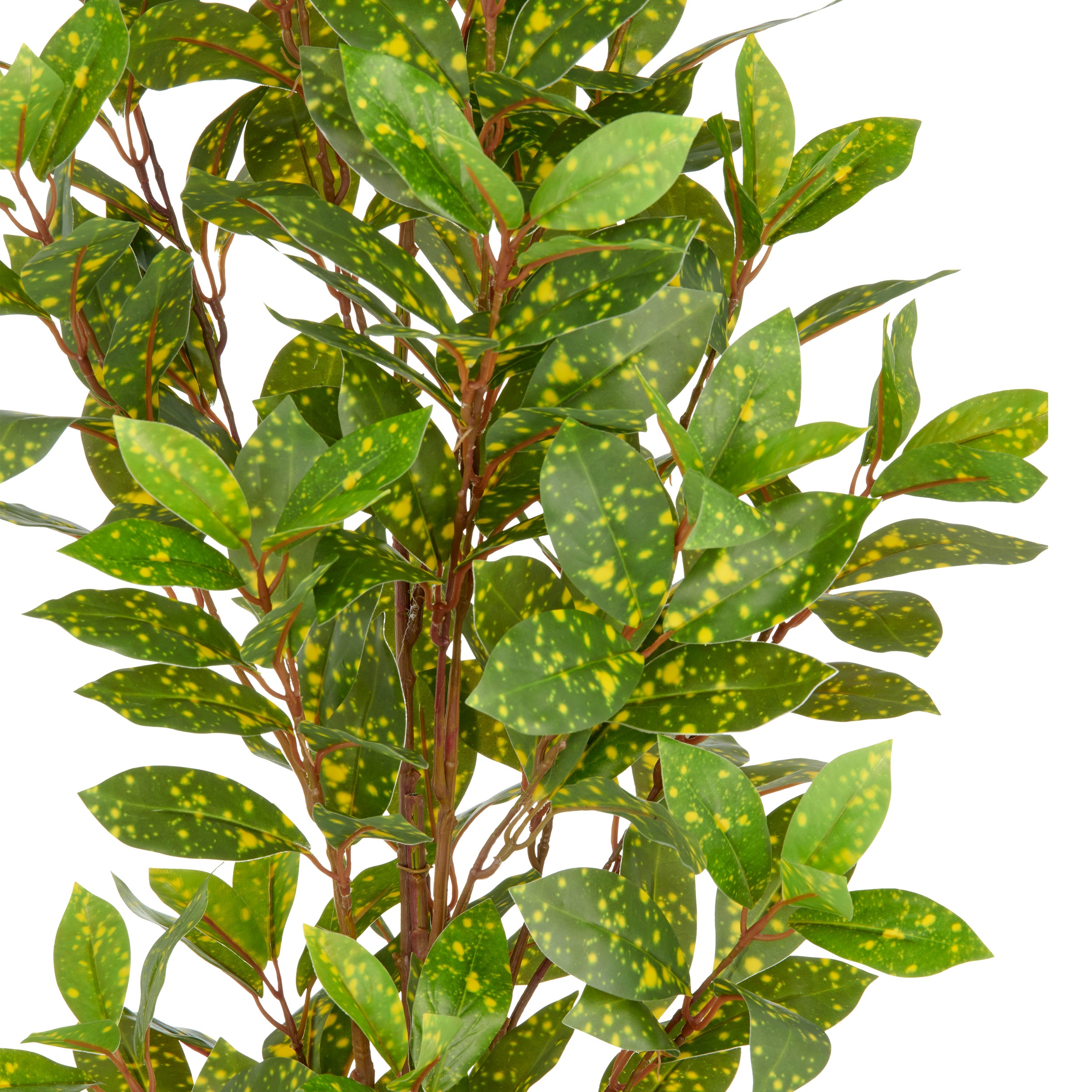 Creativ green Kunstpflanze »Acuba« mit schönem Blattwerk