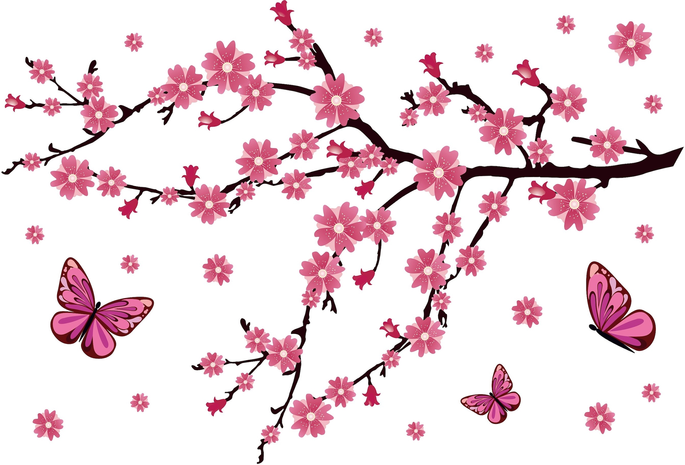 Wall-Art Wandtattoo »Kirschblüten mit Schmetterlingen« bequem bestellen