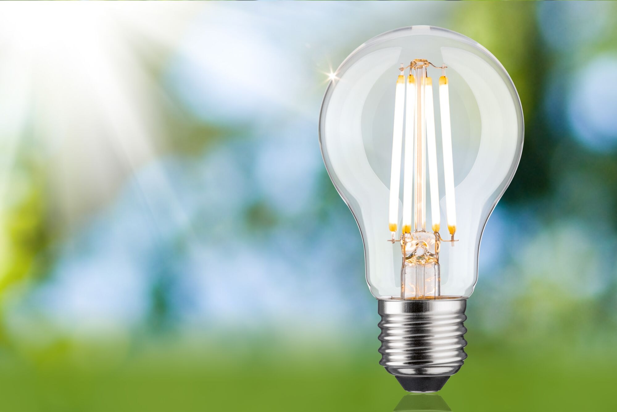 Paulmann LED-Leuchtmittel »Eco-Line Filament 230V LED Birne E27 806lm 4,3W 3000K dimmbar Klar« E27 1 Stk. Warmweiß