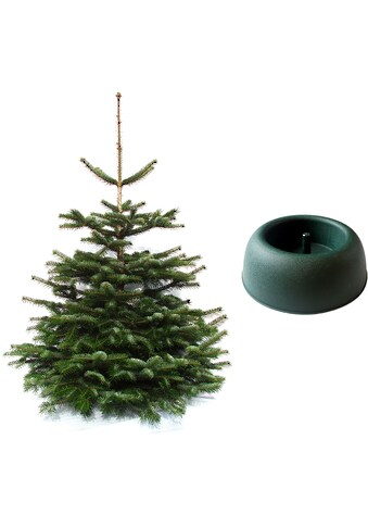 Weihnachtsbaumland Echter Weihnachtsbaum »Nordmanntanne inkl. Mini-Baumständer«,... kaufen