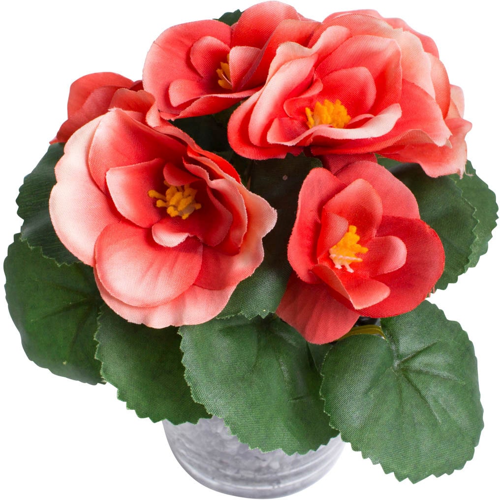 Kunstblume »Frühlingsblume« auf Rechnung kaufen Botanic-Haus