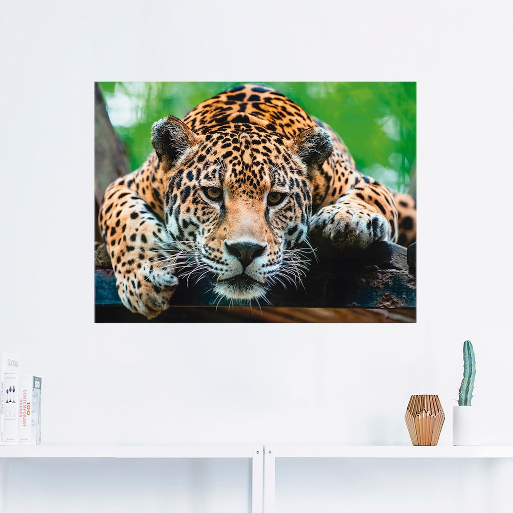 Artland Wandbild »Südamerikanischer Jaguar«, Wildtiere, (1 St.)