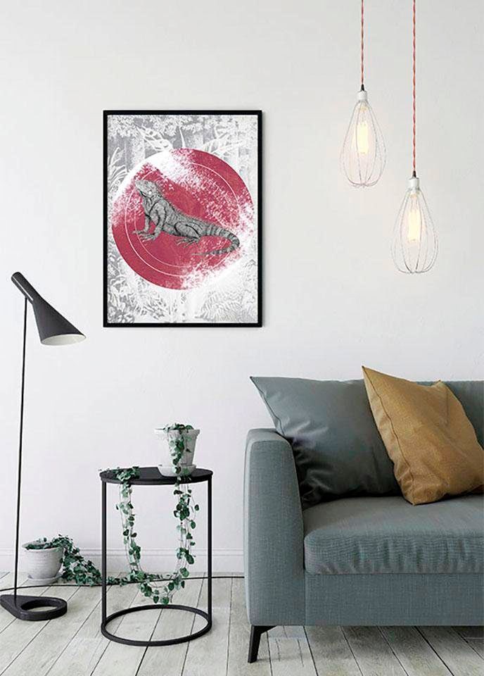 Komar Bild »Iguana Circle« Tiere 1 Stk. tlg. Wandbild zur Dekoration - ohne Rahmen