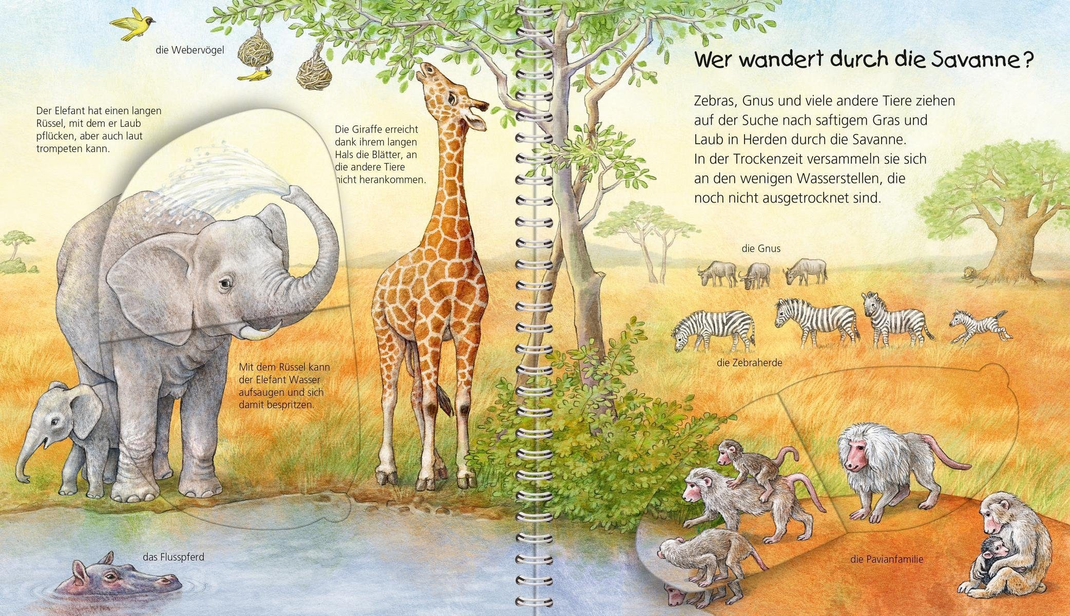 Ravensburger Buch »Mein junior-Lexikon: Tiere - Wieso? Weshalb? Warum?«, Made in Europe