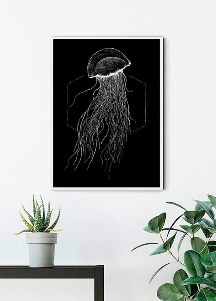 Komar Bild »Jellyfish Black« Tiere 1 Stk. tlg. Wandbild zur Dekoration - ohne Rahmen
