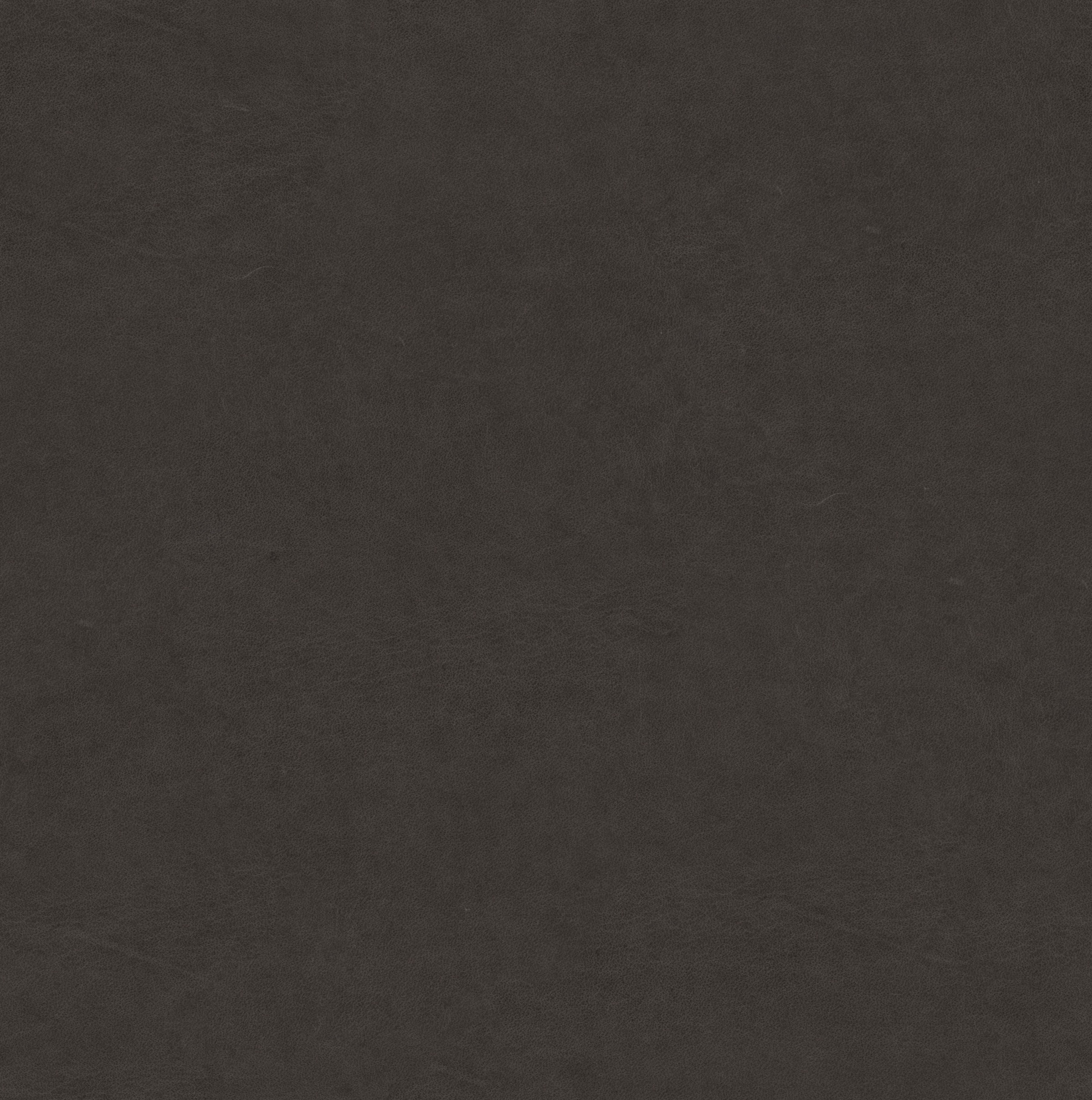 Birkenstock Polsterbett »Canberra Advance«, mit Kopfteil in Sattelleder, Holzfüße in Eiche natur mit Knochenmuster
