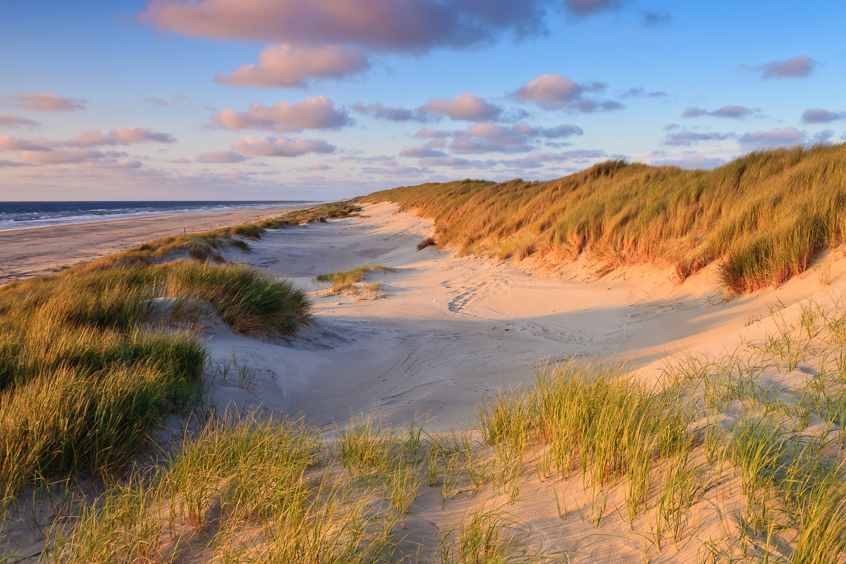 Papermoon Fototapete "Dunes Sunset" bedruckt glatt