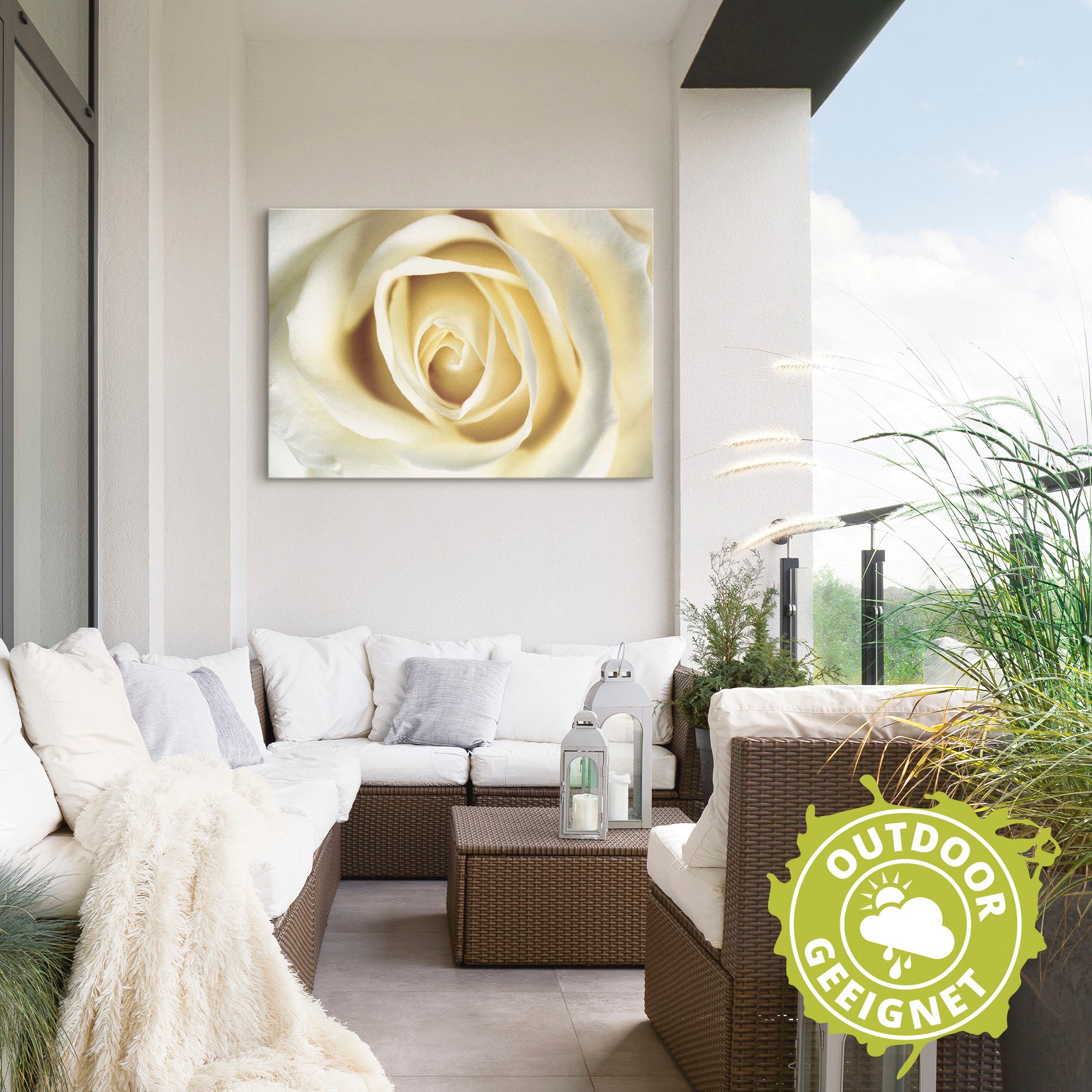 Artland Wandbild »Weiße Rose«, (1 Leinwandbild, bequem Poster versch. Größen Wandaufkleber Alubild, oder als St.), in Blumen, kaufen
