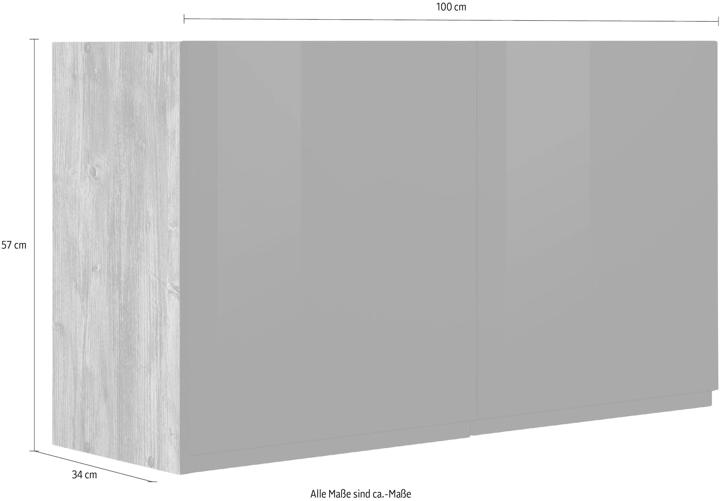 HELD MÖBEL Hängeschrank »Virginia«, 100 cm breit, mit 2 Türen