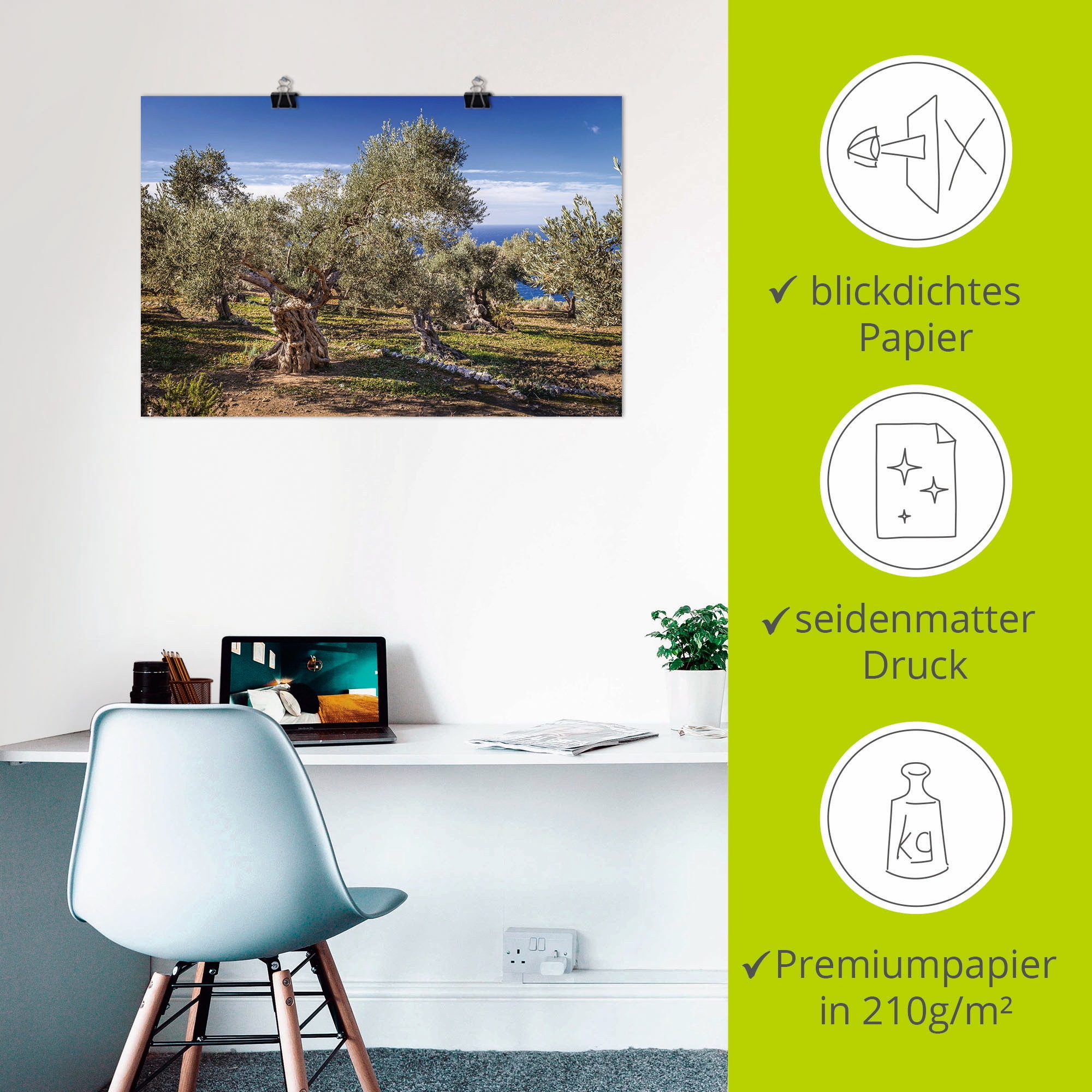 Artland Wandbild »Olivenhain in der Serra de Tramuntana«, Küstenbilder, (1 St.), als Alubild, Outdoorbild, Leinwandbild, Poster in verschied. Größen