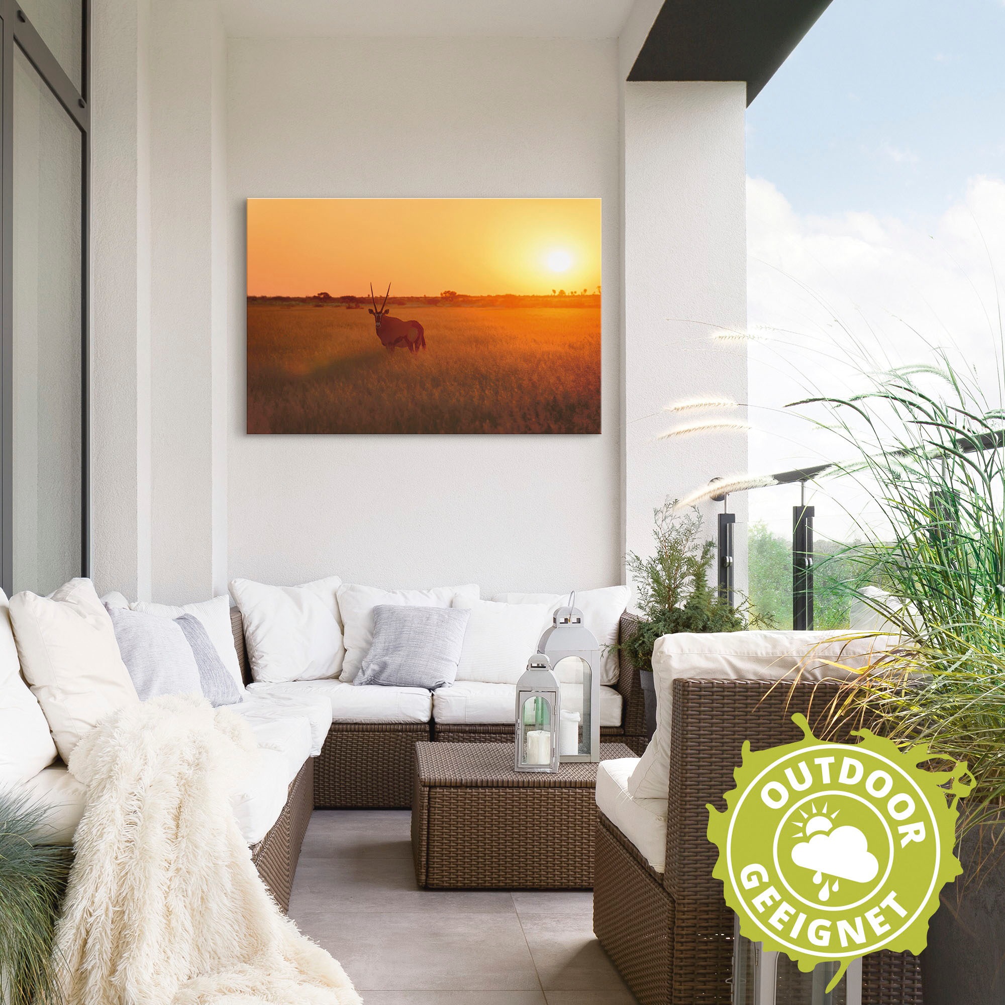 Artland Wandbild »Oryxantilope im Sonnenaufgang«, Wildtiere, (1 St.), als Alubild, Leinwandbild, Wandaufkleber oder Poster in versch. Größen