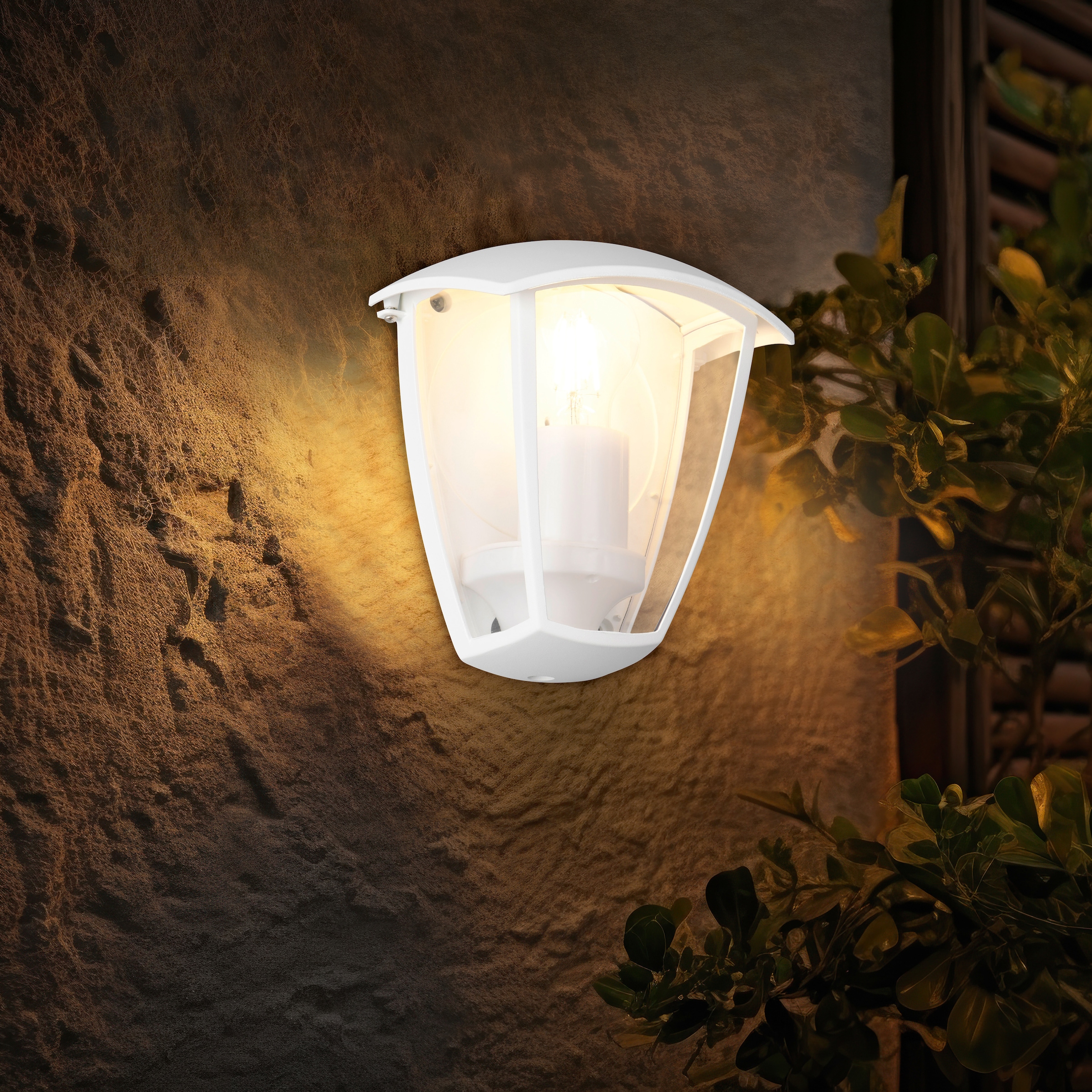 TRIO Leuchten Außen-Wandleuchte »VENTA, Outdoor Hauswand Fassadenbeleuchtung, exkl 1x E27 max 10W, IP44« E27 1 Stk. warmweiß - kaltweiß Wandlampe Garten Terrasse, Aluminium mit Kunststoff Schirm transparent