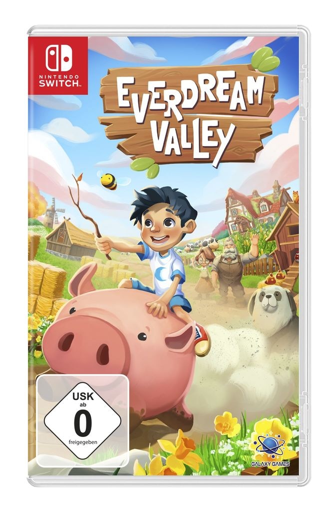 Spielesoftware »Everdream Valley«, Nintendo Switch