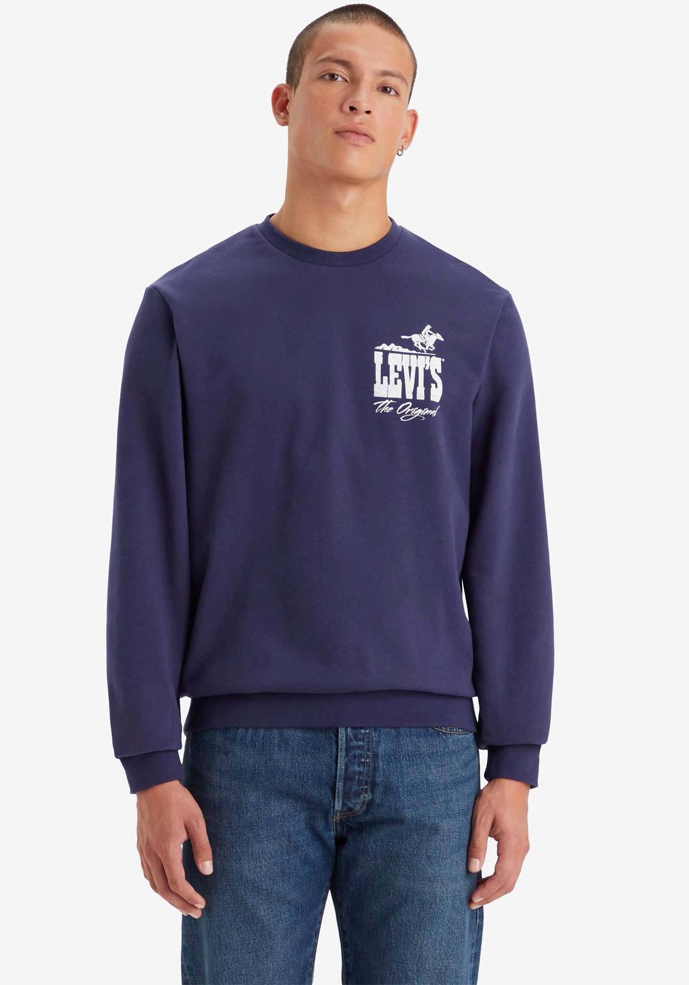 Sweatshirt »STANDARD GRAPHIC CREW BLUES«