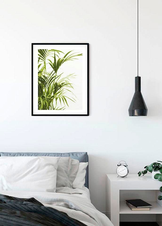 Komar Bild »Reed Leaves« Blätter | Pflanzen 1 Stk. tlg. Wandbild zur Dekoration - ohne Rahmen