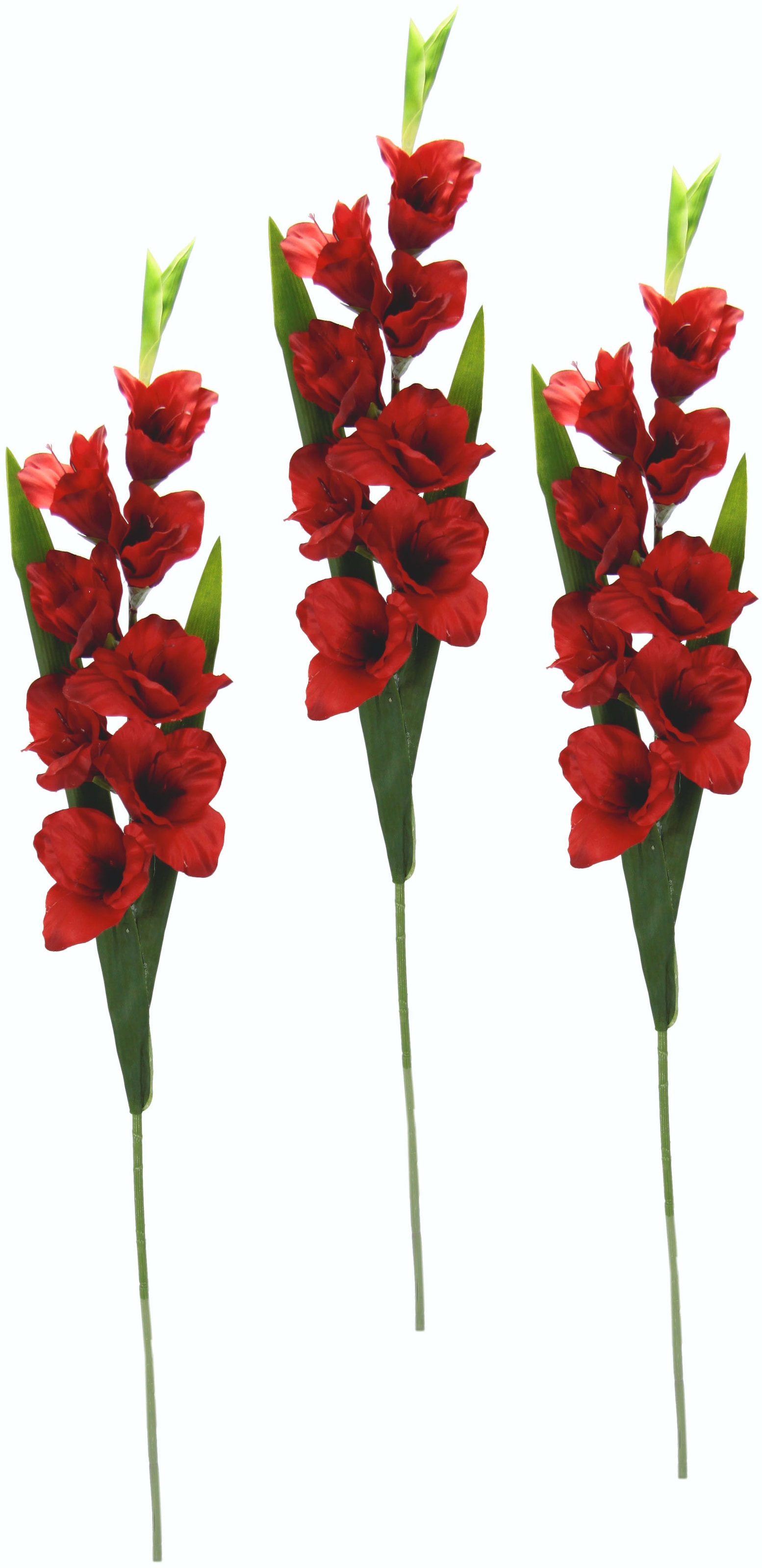 Set auf 3er Raten Kunstblume kaufen I.GE.A. »Gladiole«,
