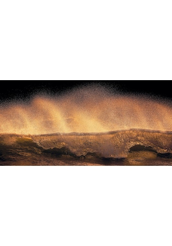 Komar Vliestapete »Hefele Golden Wave«, naturalistisch kaufen
