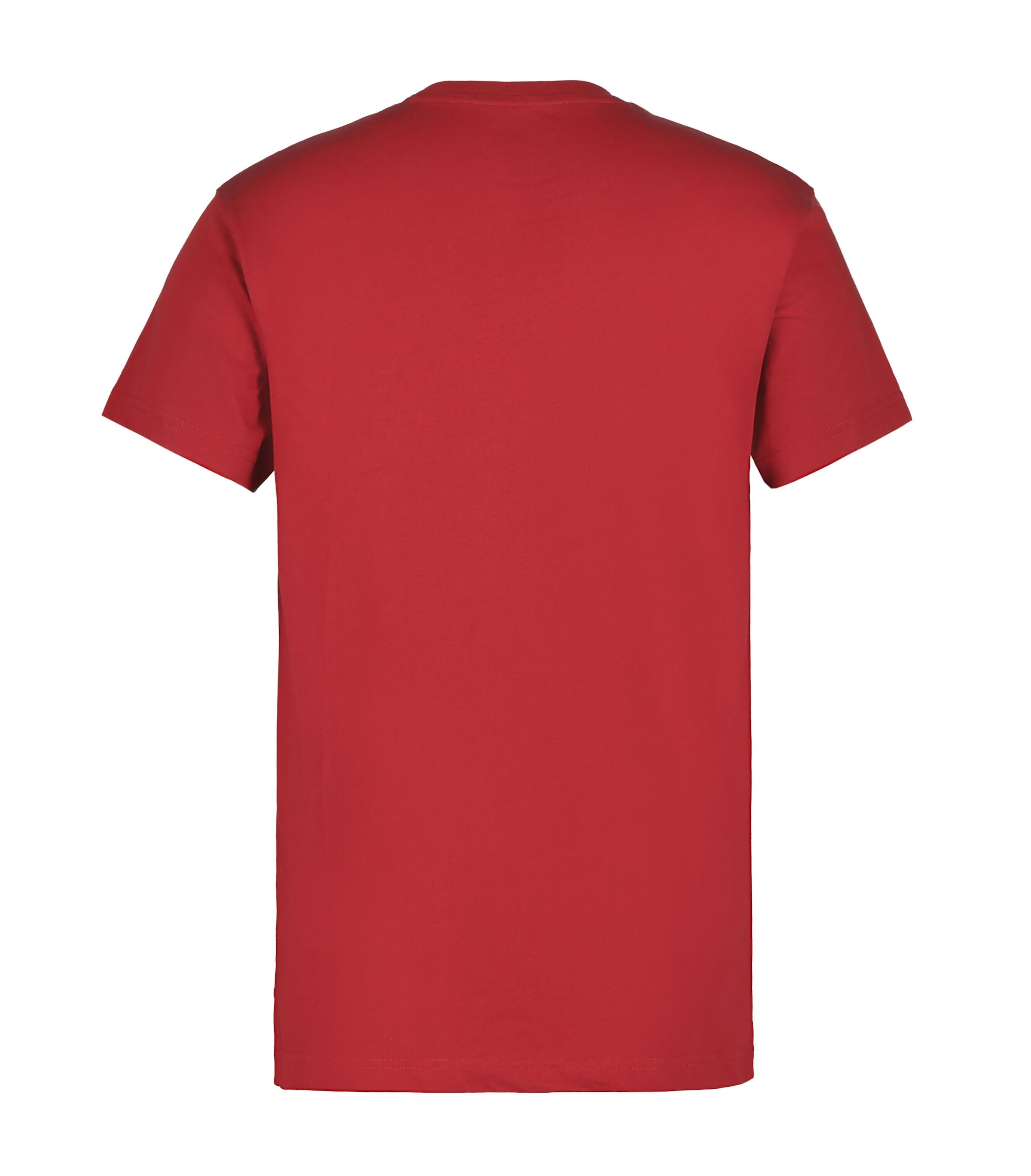 Icepeak T-Shirt »ISLESBORO« aus Baumwolle, in den Größen S bis XXL