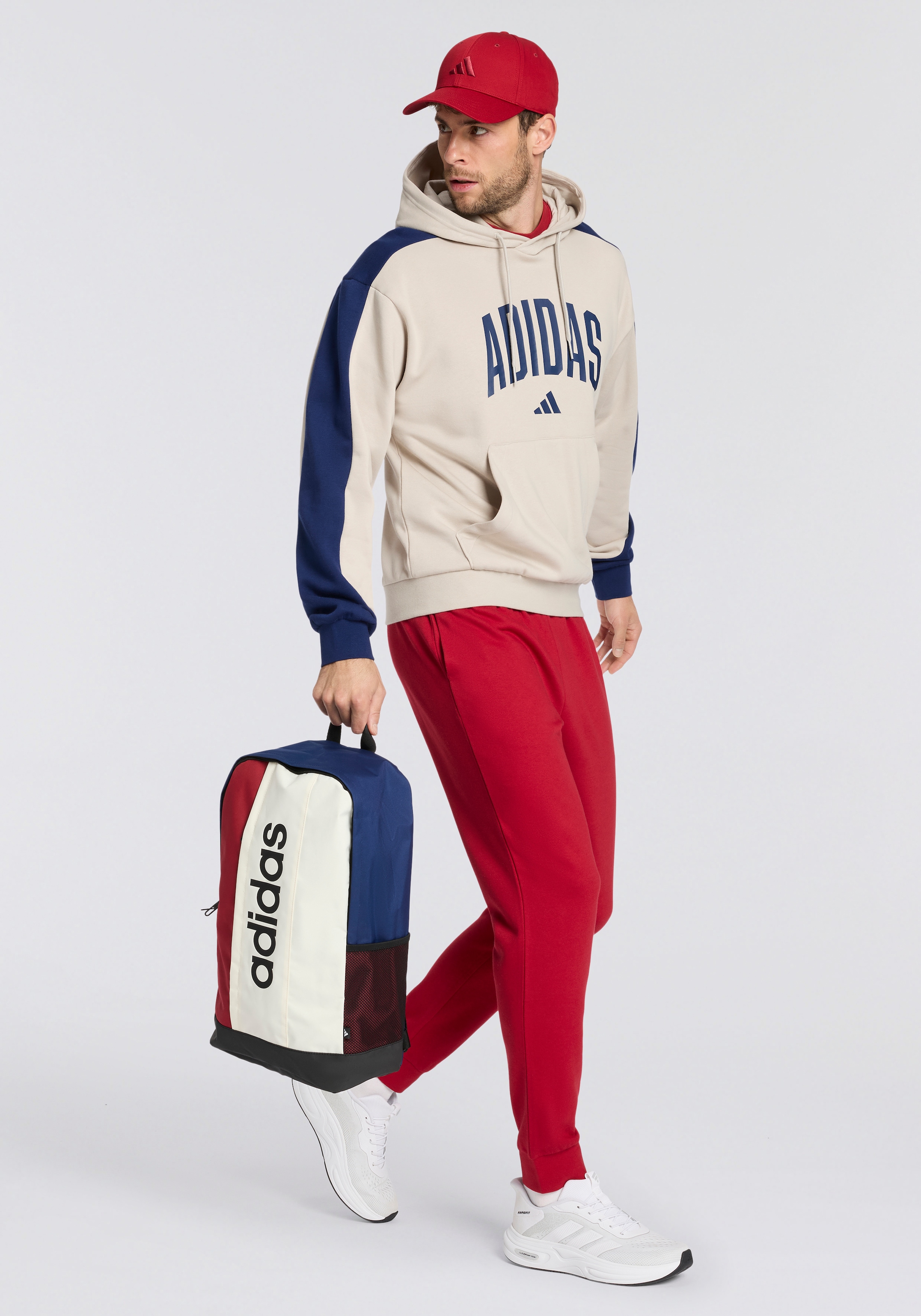 adidas Performance Rucksack »LINEAR COLOURBLOCKING«
