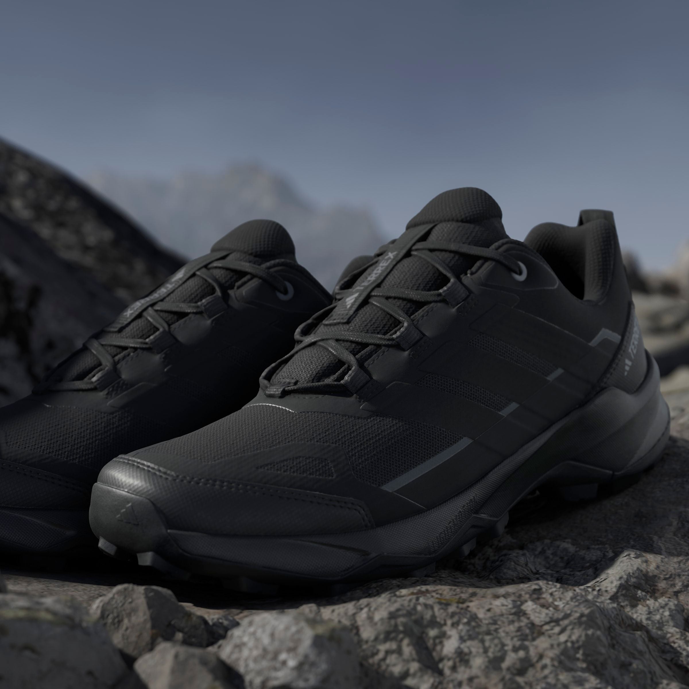 adidas TERREX Wanderschuh »TERREX SKYCHASER AX5 E«