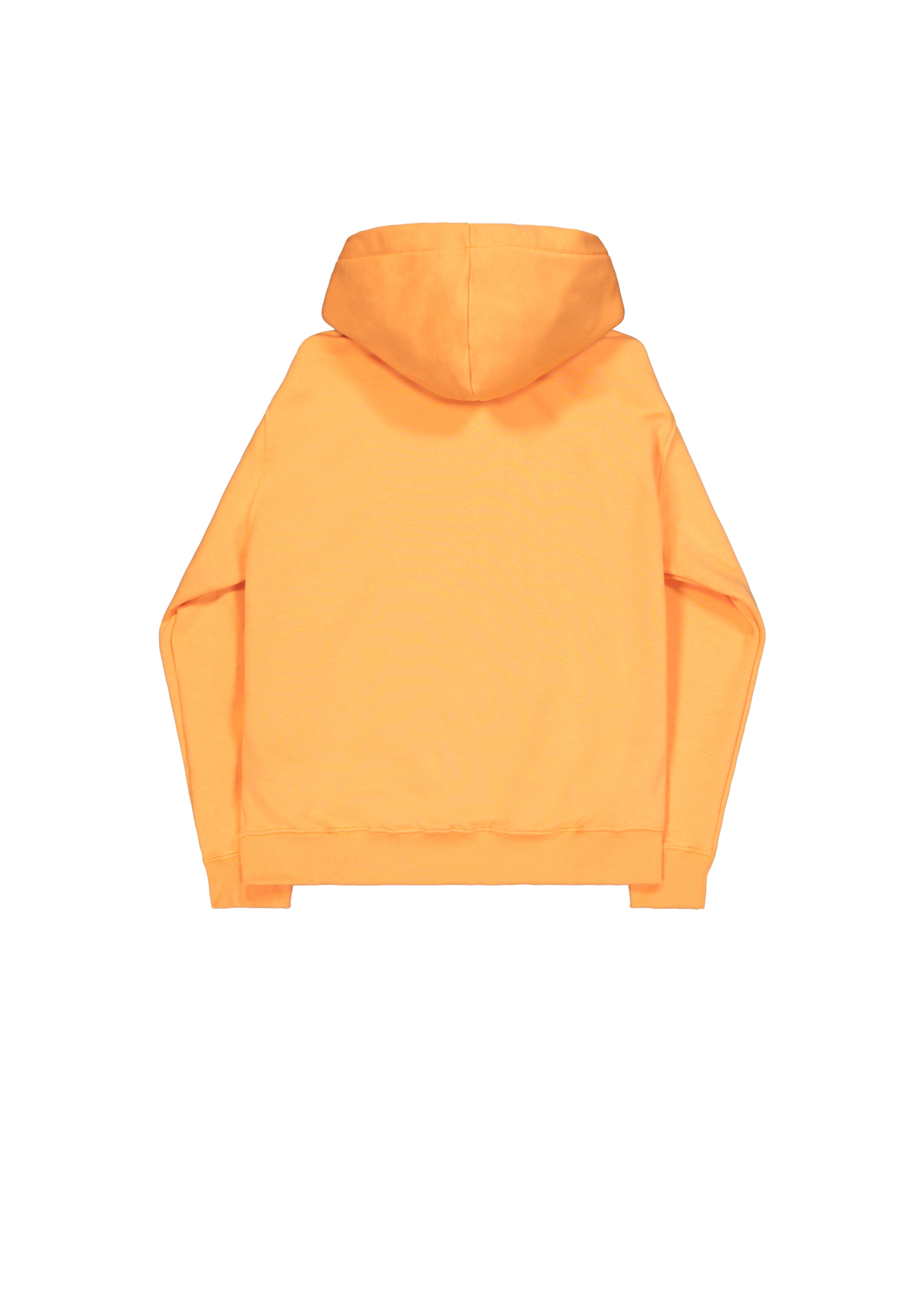 Alpha Industries Hoodie »Alpha Puff Print Hoodie«
