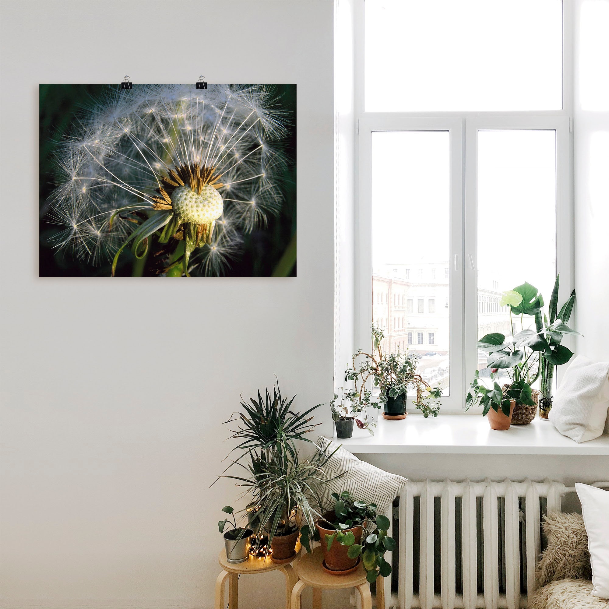 Artland Poster »Pusteblume«, Blumen, (1 St.), als Alubild, Leinwandbild, Wandaufkleber oder Poster in versch. Größen