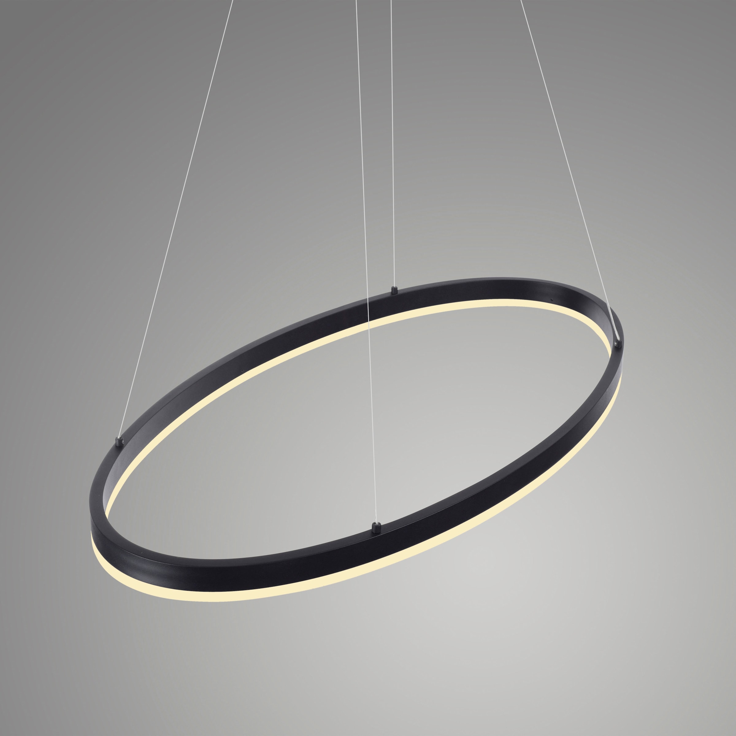 Paul Neuhaus Pendelleuchte »TITUS«, 1 flammig, Leuchtmittel LED-Board | LED fest integriert, LED, dimmbar, Simply Dim, Memory, nach Trennung vom Netz