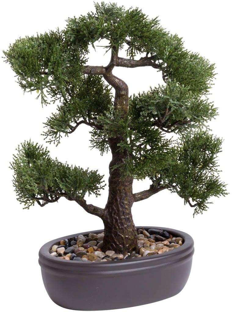 Botanic-Haus Kunstbonsai »Ceder Bonsai«