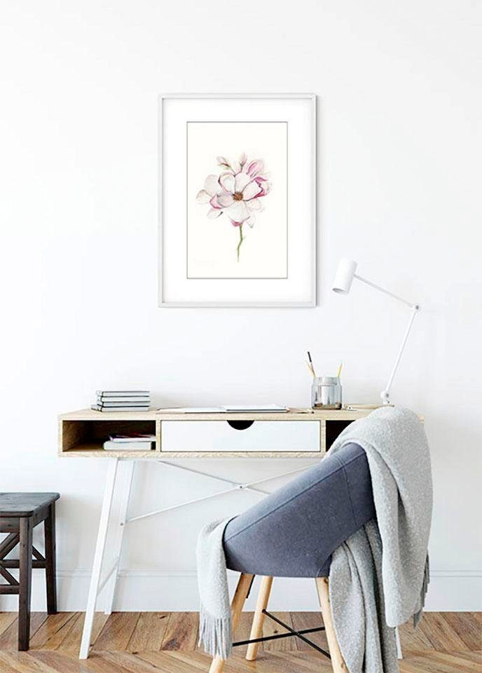 Komar Bild »Magnolia Blossom« Blumen 1 Stk. tlg. Wandbild zur Dekoration - ohne Rahmen