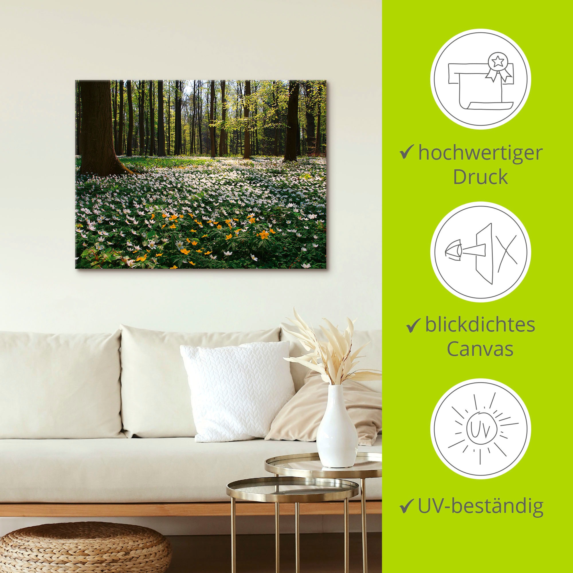 Artland Wandbild »Frühlingswald bedeckt mit Windröschen« Wald 1 Stk. tlg. als Leinwandbild, Poster in verschied. Größen
