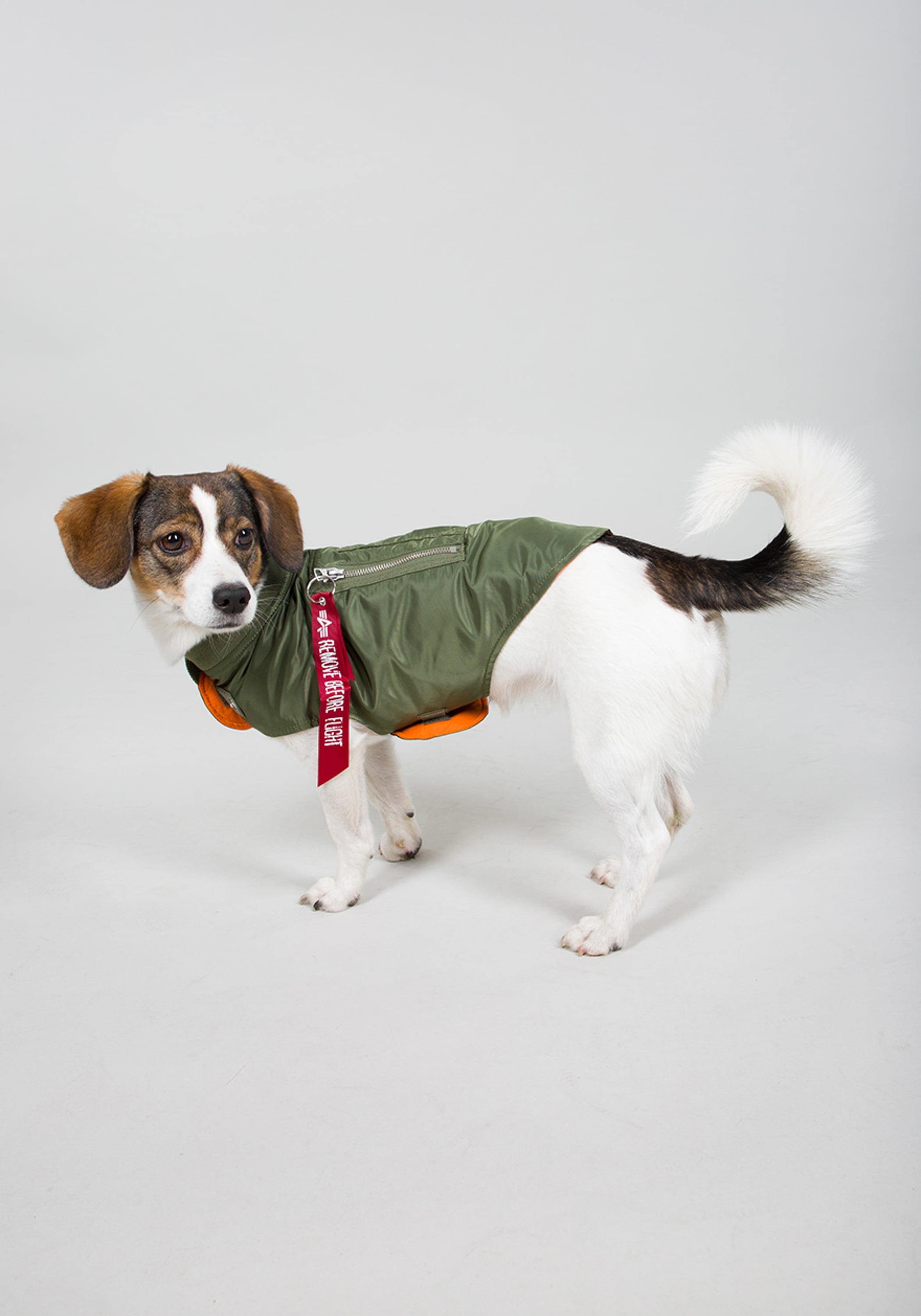 Alpha Industries Hundejacke »Alpha Industries Accessoires - Dog Accessories«