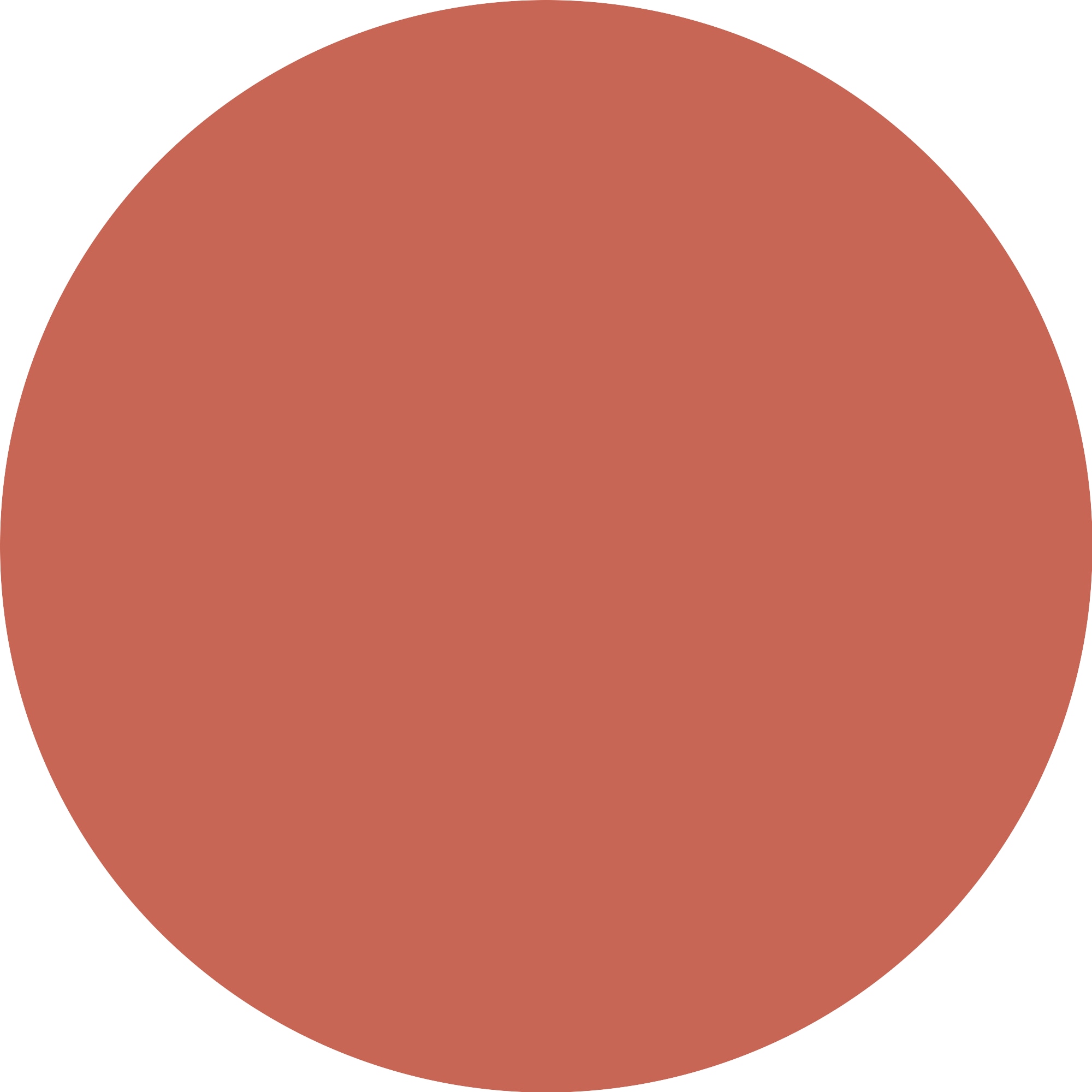 Catrice Rouge »Soft Blur Powder Blush«