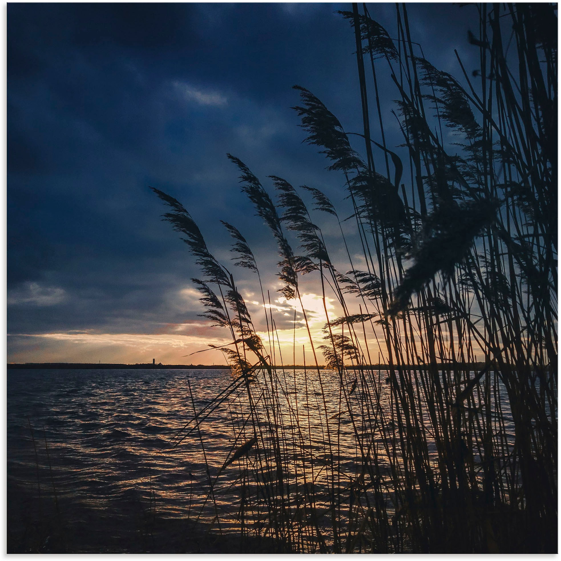 Artland Alu-Dibond-Druck »Sonnenuntergang mit Schilf am See«, Seebilder, (1 St.), für Innen- und Außenbereich geeignet, Outdoorbild