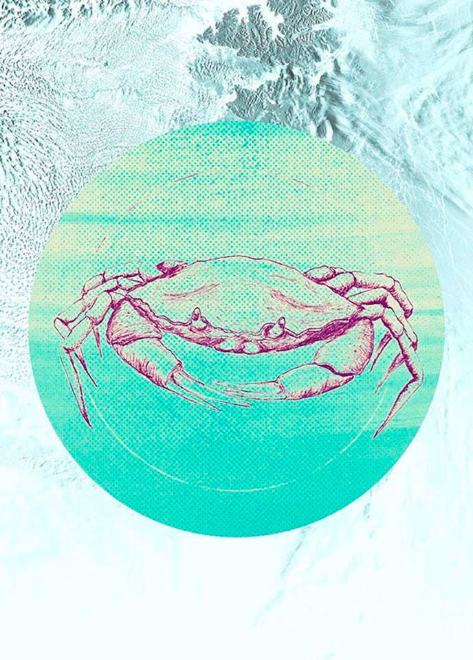Komar, Bild »Crab Sea« Tiere 1 Stk. tlg. Wandbild zur Dekoration - ohne Rahmen, Farbe Bild(er): bunt, Holz, Papier, B/H/T: 40 cm x 50 cm, Farbe Bild(