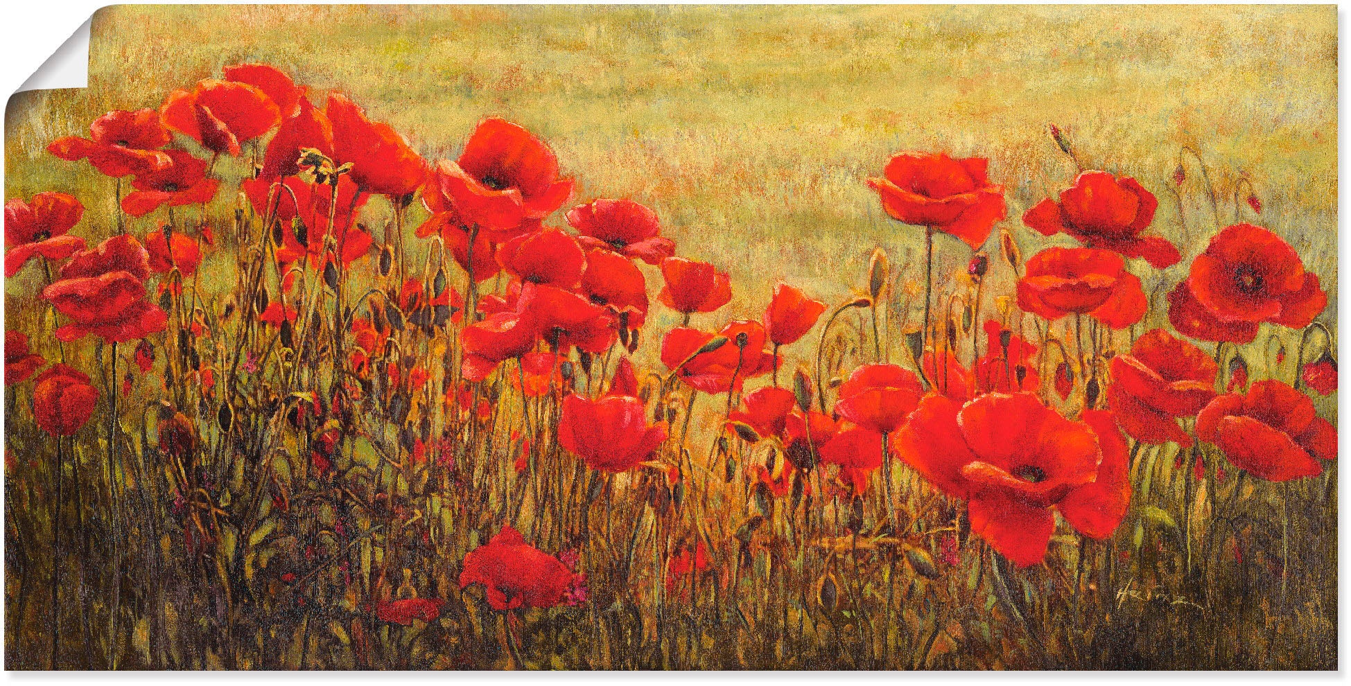 Artland Wandbild »Mohnfeld«, Blumenwiese, (1 St.), als Alubild, Leinwandbild,... kaufen