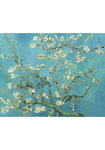Home affaire Kunstdruck »VINCENT VAN GOGH / Almond Blossoms, 1890«, (auf Leinwand... kaufen