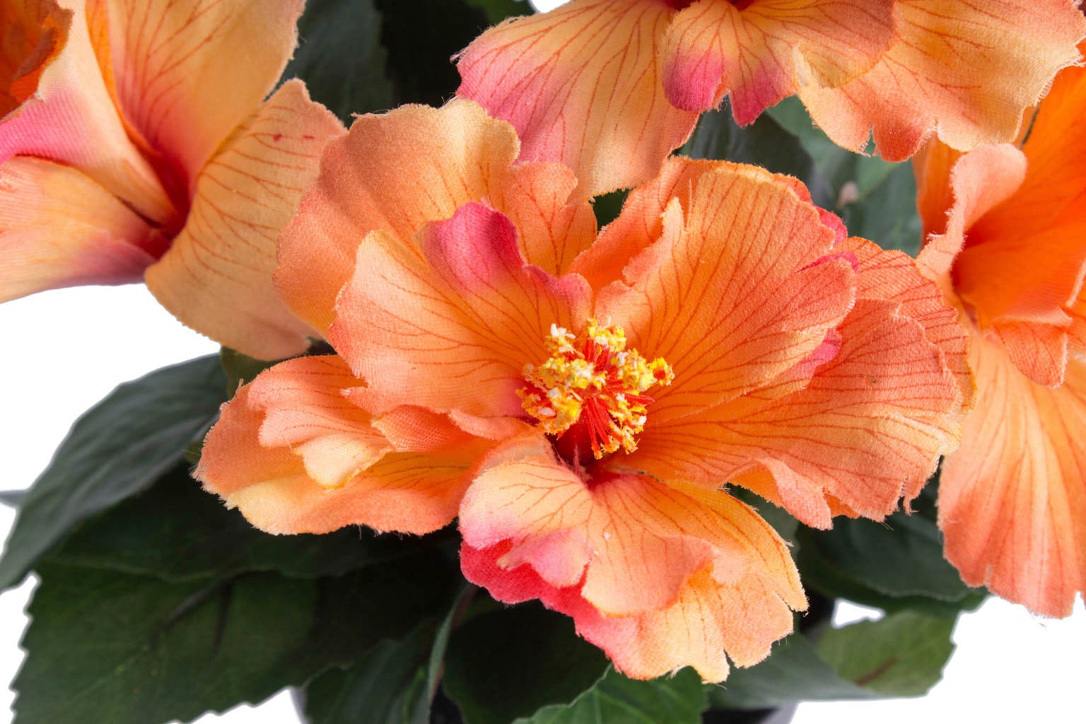 Topf« Kunstblume im »Hibiskus Raten bestellen Botanic-Haus auf