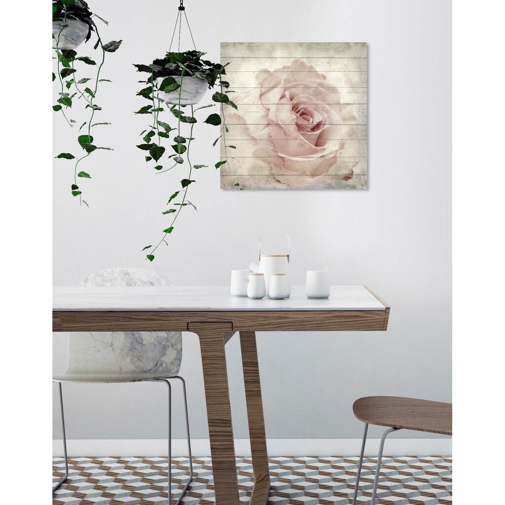 queence Holzbild »Zarte Rose«, 50x50 cm