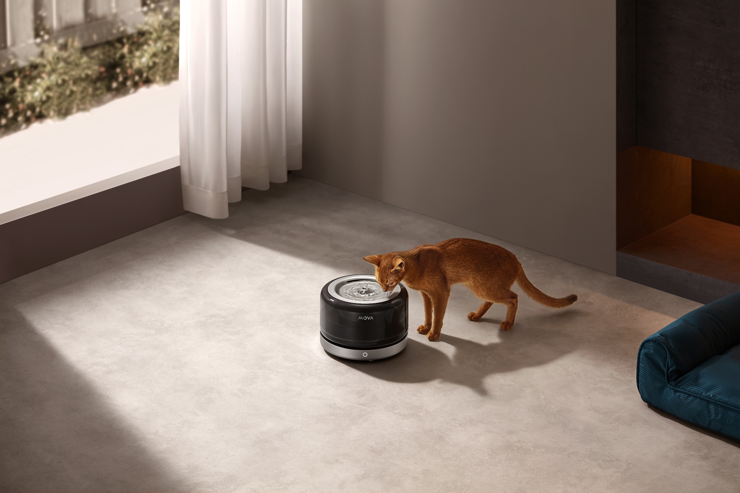 Mova Trinkbrunnen »WF20 Pro«