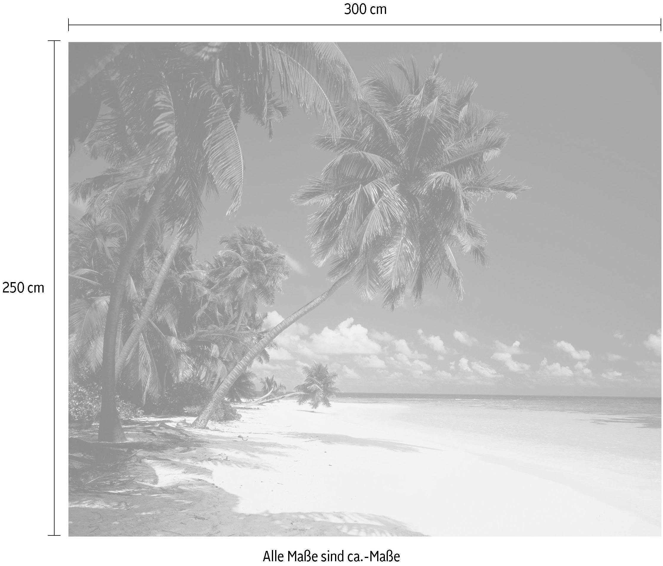 Komar Vliestapete »Maldives«, 300x250 cm (Breite x Höhe), Vliestapete, 100  cm Bahnbreite online kaufen | mit 3 Jahren XXL Garantie