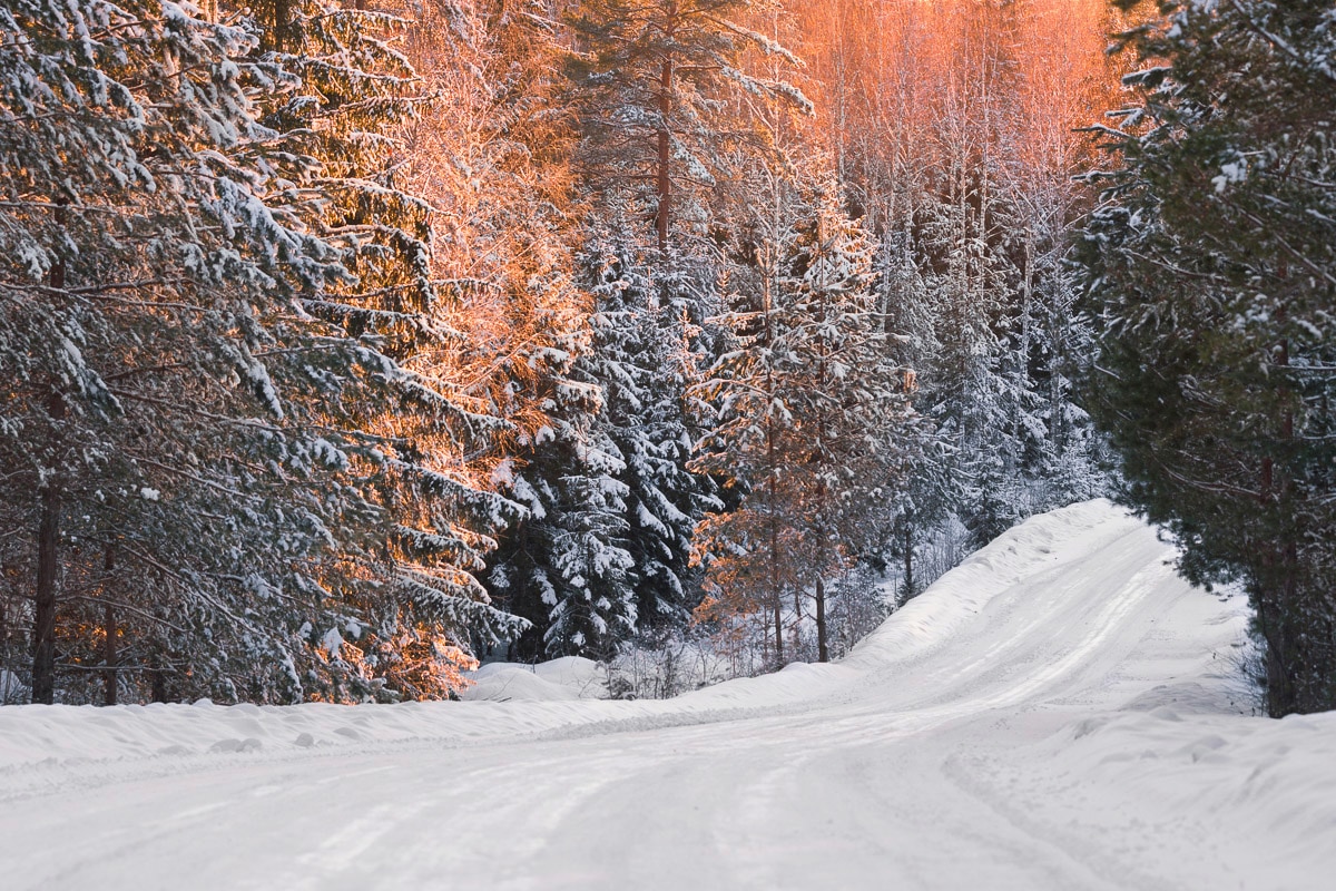 Papermoon, Fototapete »Schneelandschaft«, bunt, Vlies, B/L: 4,5 m m x 2,8 m m - Bahnen: 9 Stk. St., bunt