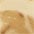 goldfarben