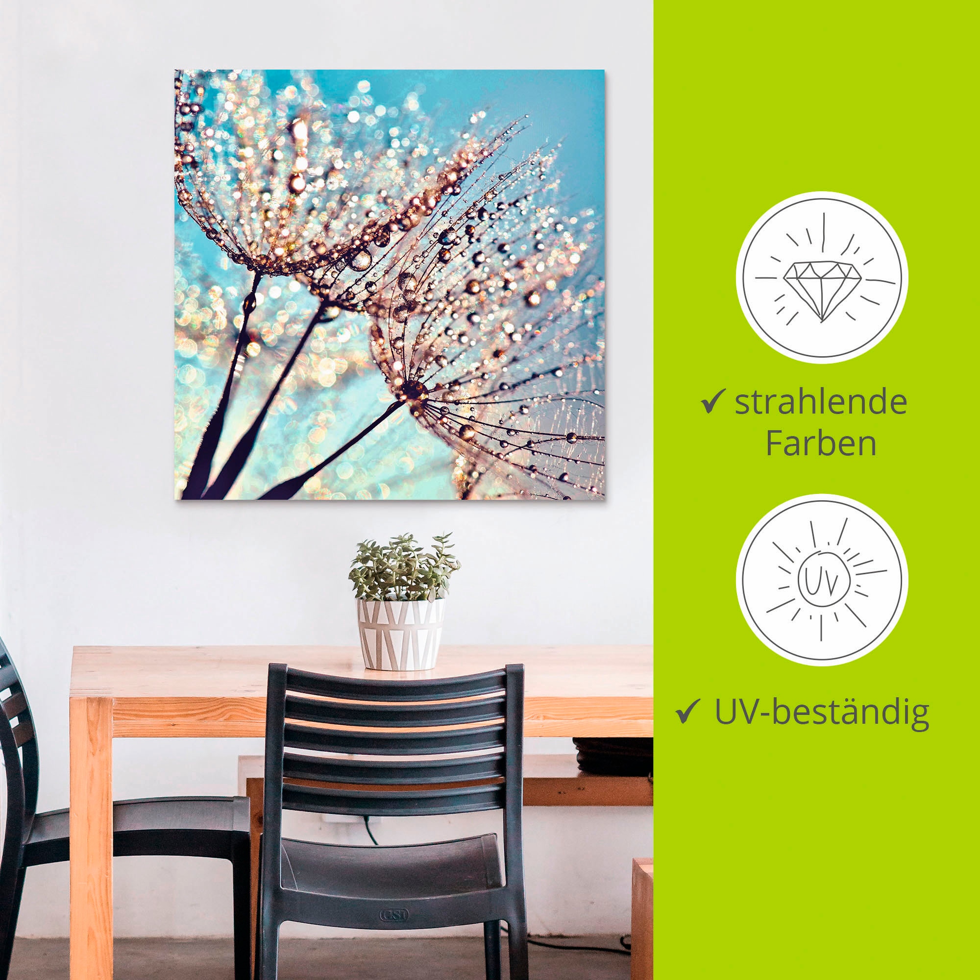 Artland Wandbild »Pusteblume Tröpfchenfänger«, Blumen, (1 St.), als Alubild, Outdoorbild, Leinwandbild, Poster in verschied. Größen