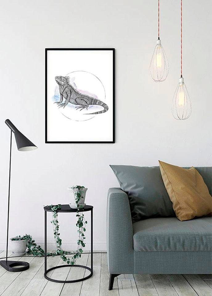 Komar Poster »Iguana Watercolor«, Tiere, online 1 1), St., Anzahl mit 3 Kinderzimmer, Wohnzimmer XXL Schlafzimmer, Teile Jahren kaufen Garantie | (Packung