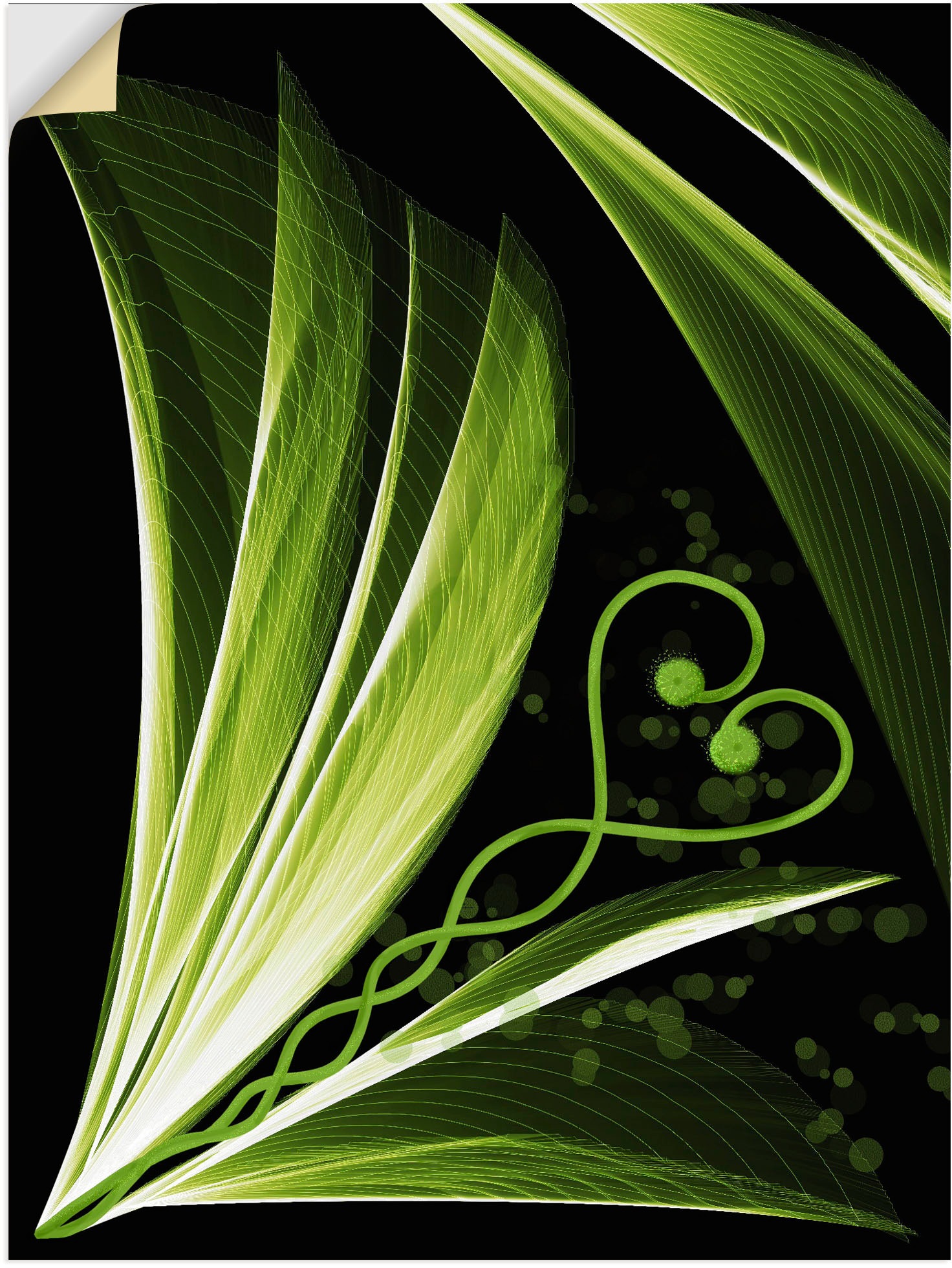 Artland Wandbild »Grünes Herzblatt dekorativ«, Spa Bilder, (1 St.), als  Alubild, Leinwandbild, Wandaufkleber oder Poster in versch. Größen bequem  bestellen
