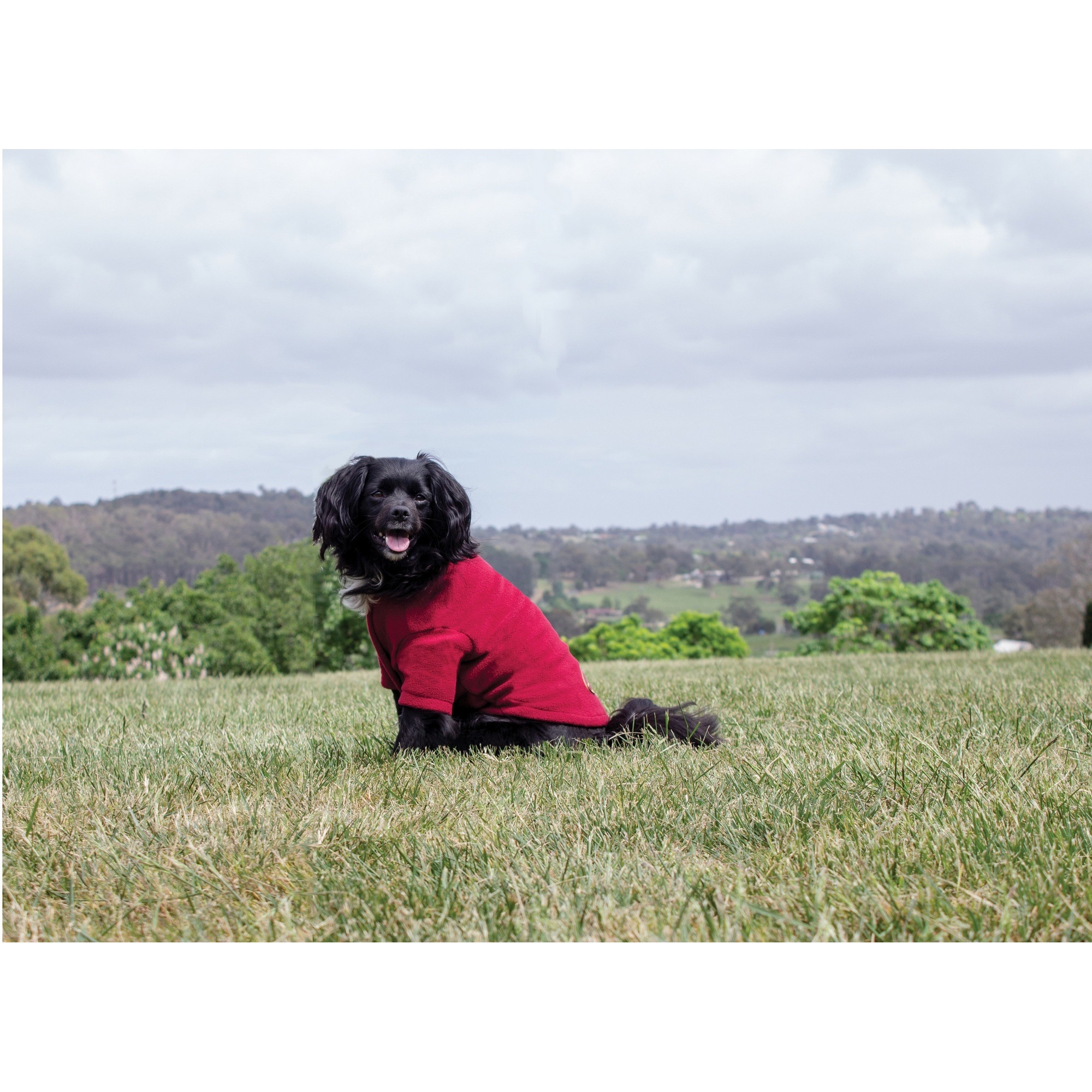 WeatherBeeta Hundepullover Fleece HundePullover«, Fleece, (1