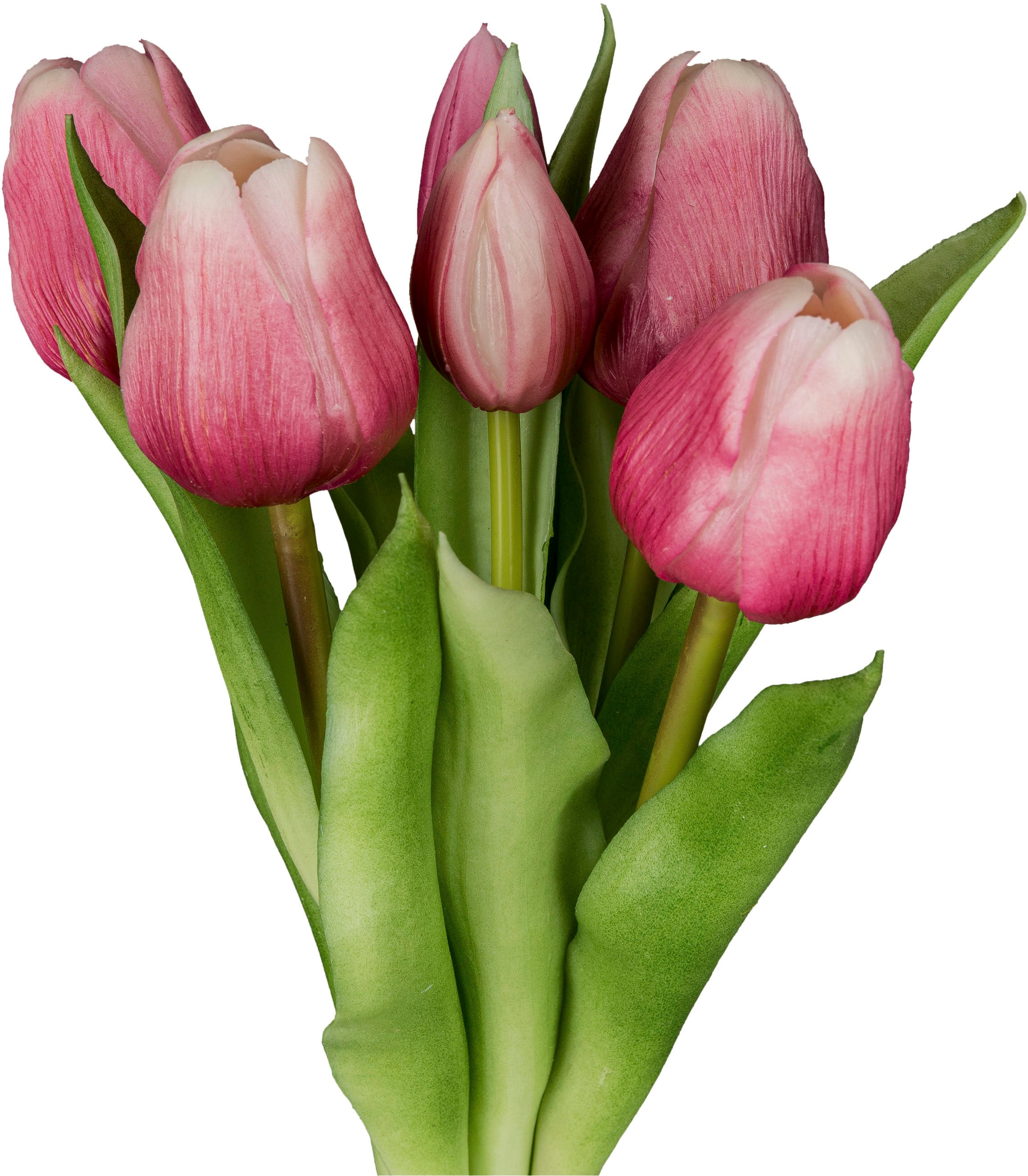 Creativ green Kunsttulpe »Tulpenbund« aus 6 Einzelstielen