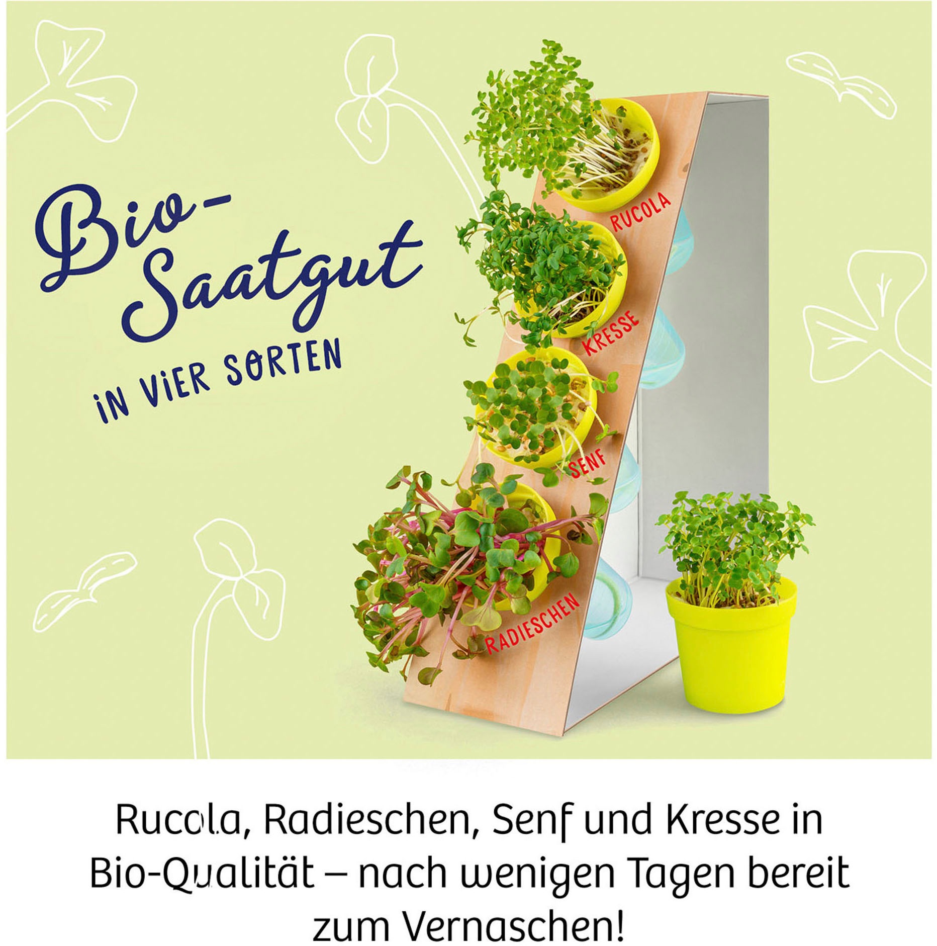Kosmos Experimentierkasten »Microgreen-Garten«, Made in Germany