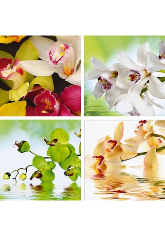 Home affaire Leinwandbild »Meer von Orchideen«, (Set), 4x 30/30 cm kaufen
